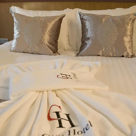 City Hotel Ankara מלון 4*